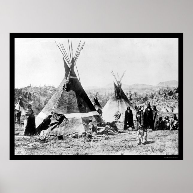 Shoshoni Indian and Skin Tipis 1884 Poster (Front)