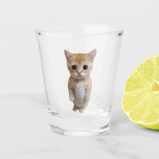 Shot Glass El Gato Cat Meme (Front)