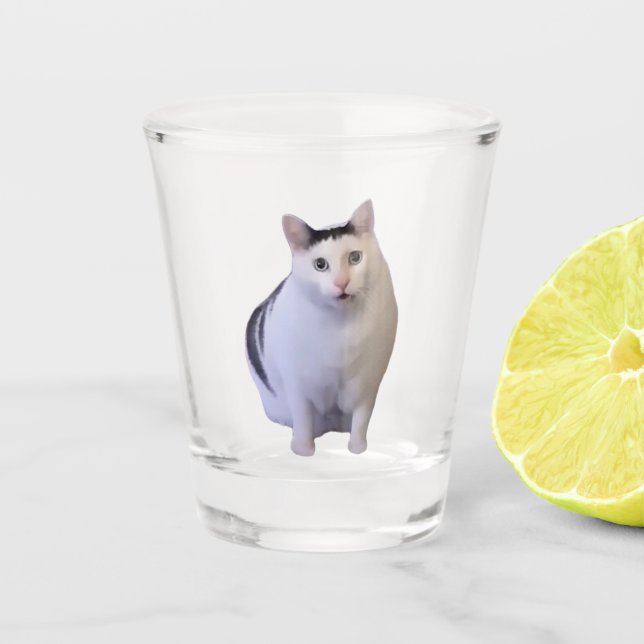 Shot Glass Huh Cat Meme (Front)