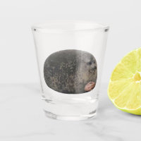 Shot Glass Judging Seal Meme