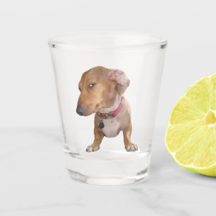 Shot Glass Side Eye Dog Meme
