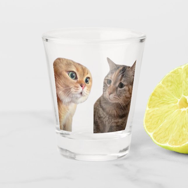 Shot Glass Talking Cats Meme (Front)