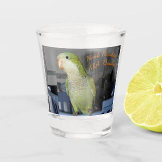 Shot Glass with Quaker Parakeet  motif