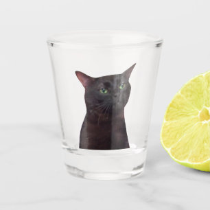Shot Glass Zoned Out Cat Meme