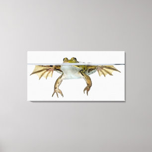 Shot of a Edible frog surfacing in front of a Canvas Print