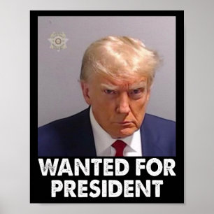Shot Trump Funny Wanted For President 2024  Poster