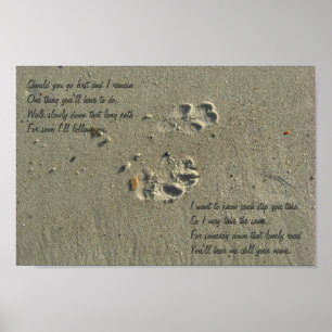 Should you go first, dog paw prints in sand Poster