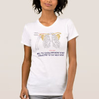 "Shoulder bone is not connected to the neck..."