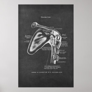 Shoulder Joint Anatomy Orthopaedic Wall Decor