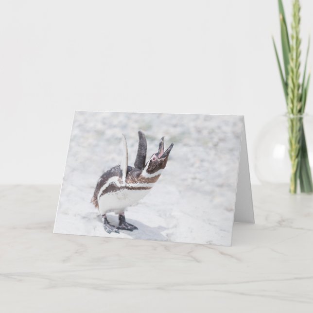 Shouting Penguin Card (Front)