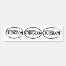 Shovelnose Sturgeon Euro Stickers