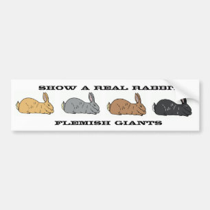 Show A Real Rabbit Flemish Giant Bumper Sticker