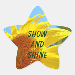 Show and Shine start stickers Summer Sunflower