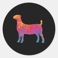 Show Boer Goat