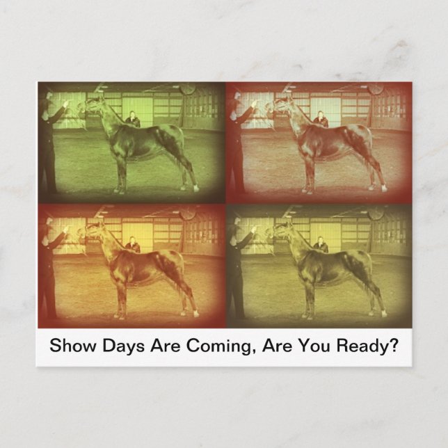 Show Days Postcard (Front)