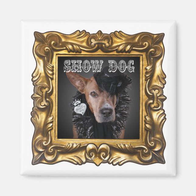 "Show Dog" Magnet to Enhance Your Refrigerator (Front)