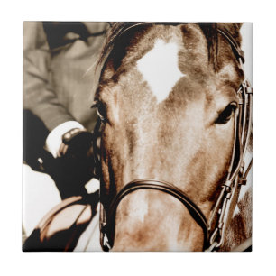 Show Horse Tile