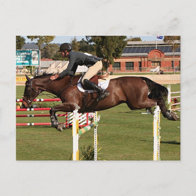 Show jumping horse and rider 2 postcard (Front)