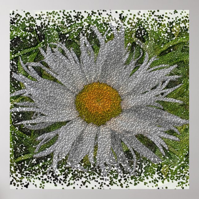 Show Me A Daisy #1 Poster (Front)
