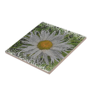 Show Me A Daisy #1 Tile