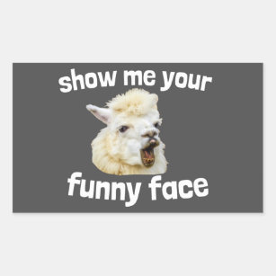 Show me your funny face smiling Alpaca Lama Rectangular Sticker
