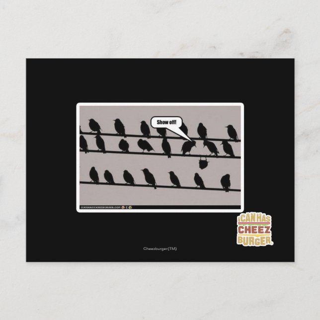 Show off! postcard (Front)