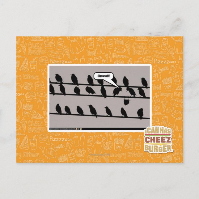 Show off! postcard (Front)