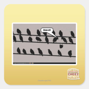 Show off! square sticker