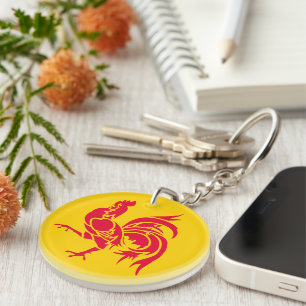 Show off your colours - Wallonie Key Ring