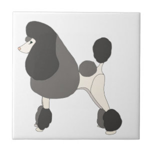 Show Poodle Tile