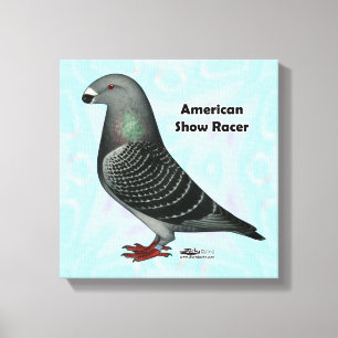 Show Racer ASR Canvas Print