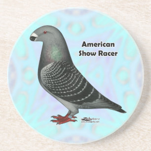 Show Racer ASR Coaster