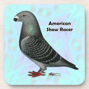 Show Racer ASR Coaster