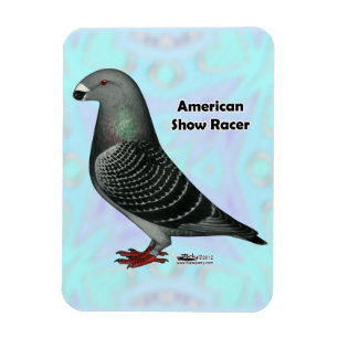 Show Racer ASR Magnet