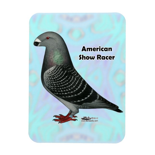 Show Racer ASR Magnet (Vertical)