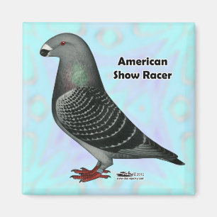 Show Racer ASR Magnet