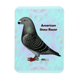 Show Racer ASR Magnet