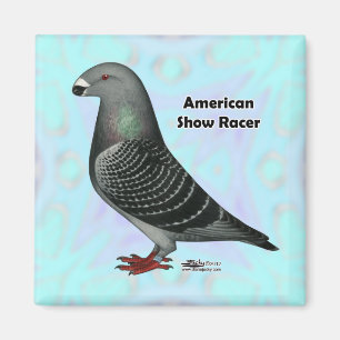 Show Racer ASR Magnet