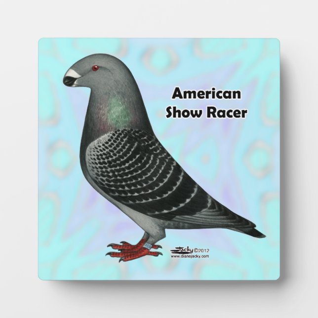 Show Racer ASR Plaque (Front)