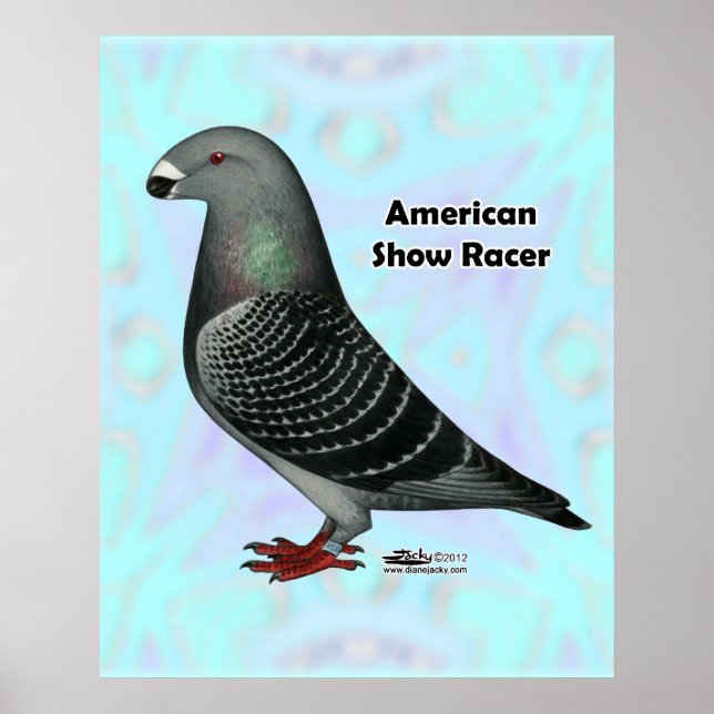Show Racer ASR Poster (Front)