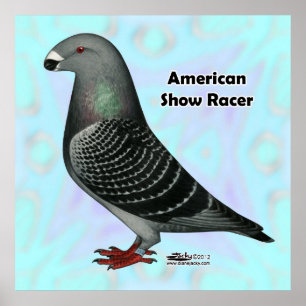 Show Racer ASR Poster