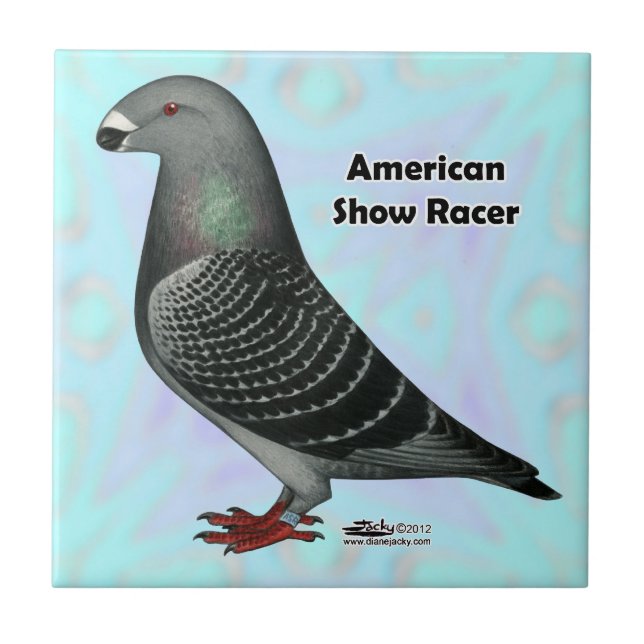 Show Racer ASR Tile (Front)