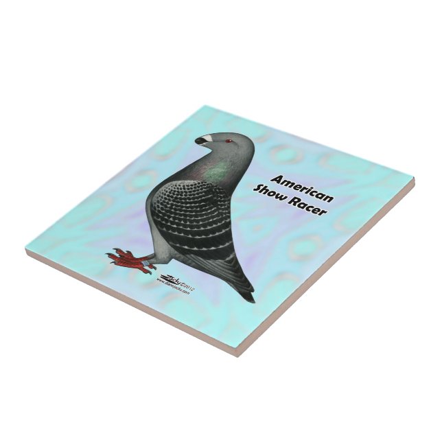 Show Racer ASR Tile (Side)