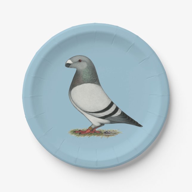 Show Racer Blue Bar Pigeon Paper Plate (Front)