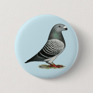 Show Racer Blue Chequered Pigeon 6 Cm Round Badge