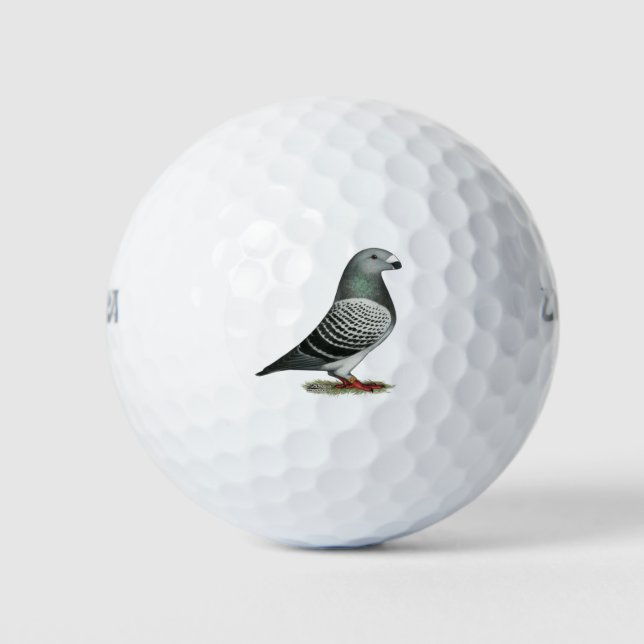 Show Racer Blue Chequered Pigeon Golf Balls (Front)