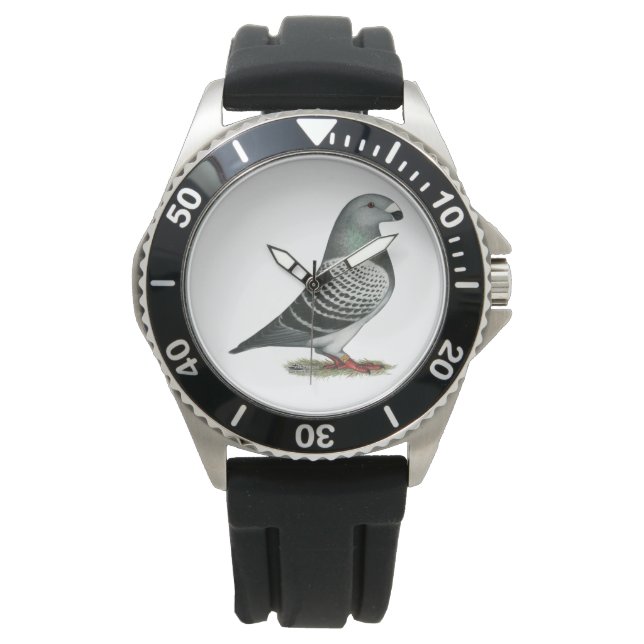 Show Racer Blue Chequered Pigeon Watch (Front)