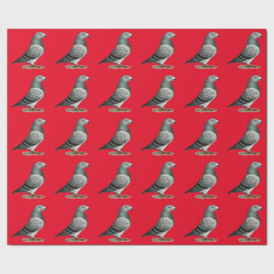 Show Racer Blue Chequered Pigeon Wrapping Paper