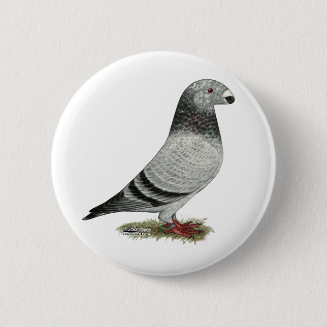 Show Racer Grizzle 6 Cm Round Badge (Front)