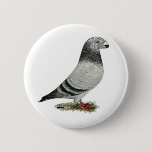 Show Racer Grizzle 6 Cm Round Badge